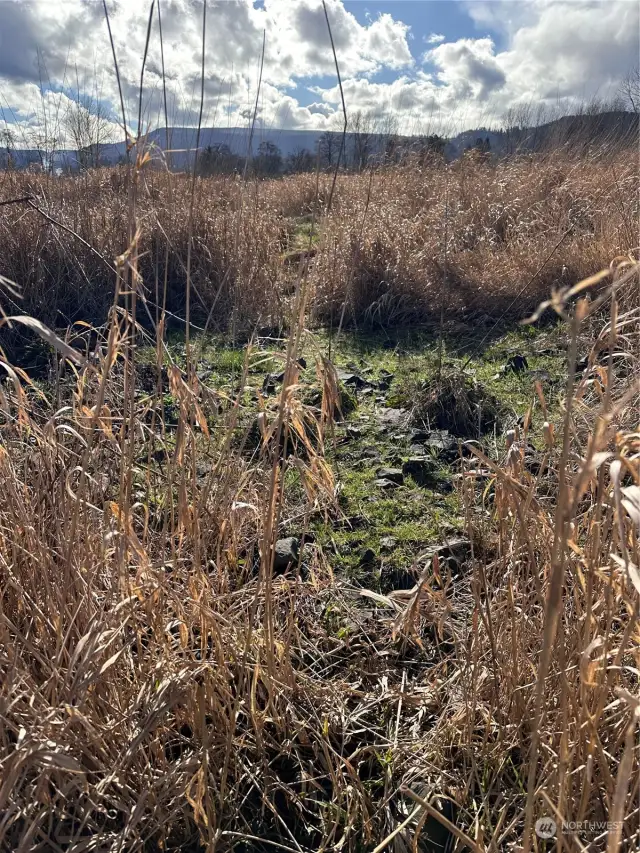 Rock-fill bridge that crosses slough bisecting the property. Bridge is located along west side property line.