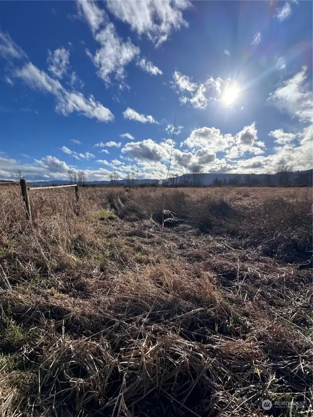 Fence line on east side of property