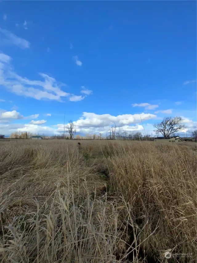 Looking from back of property to the front