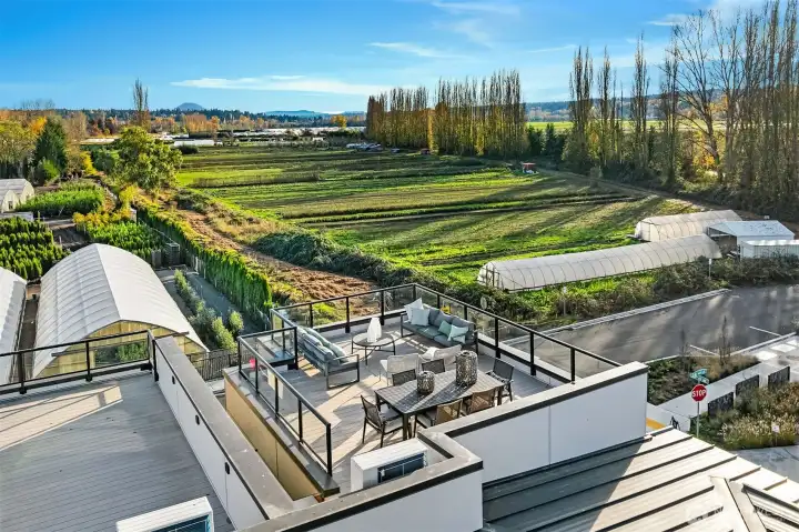 Private rooftop deck with view of Mount Rainier