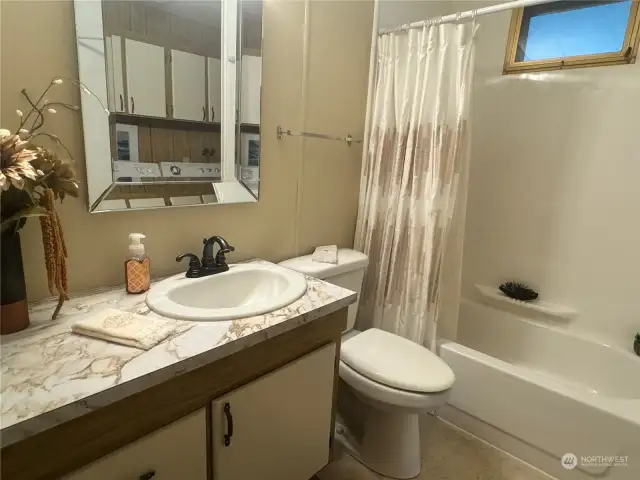 Main bath with tub and shower.