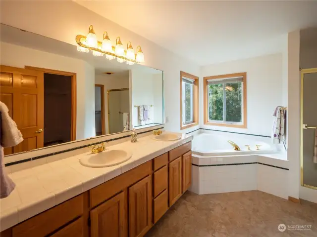 Primary bathroom with large tub