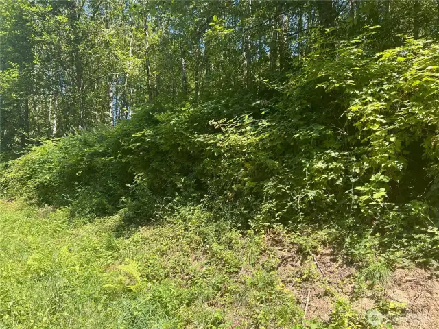 From Street