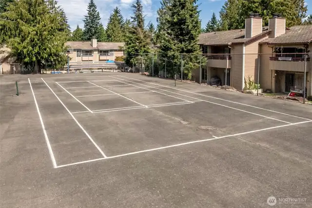 Large sport court adjacent to the pool.
