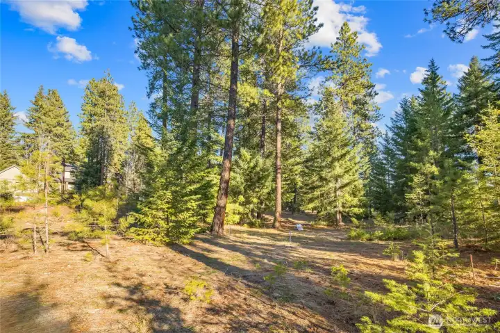 Homesite receives southeast sunlight