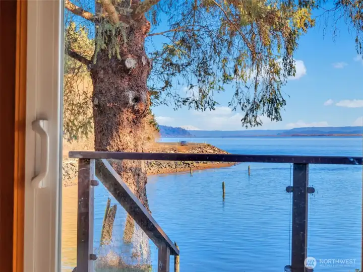 Views of Mt. St. Helens from the door.