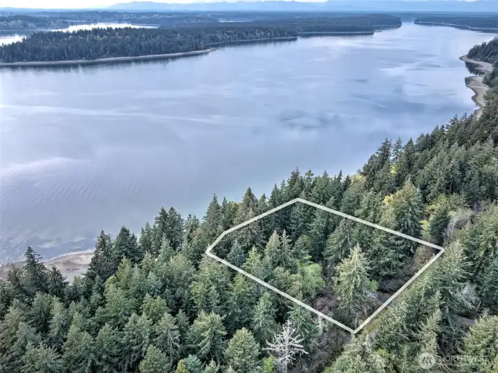 Heavily timbered 2 acres