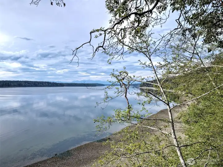 View to the North with the Olympic Mountains saying "Hello"
