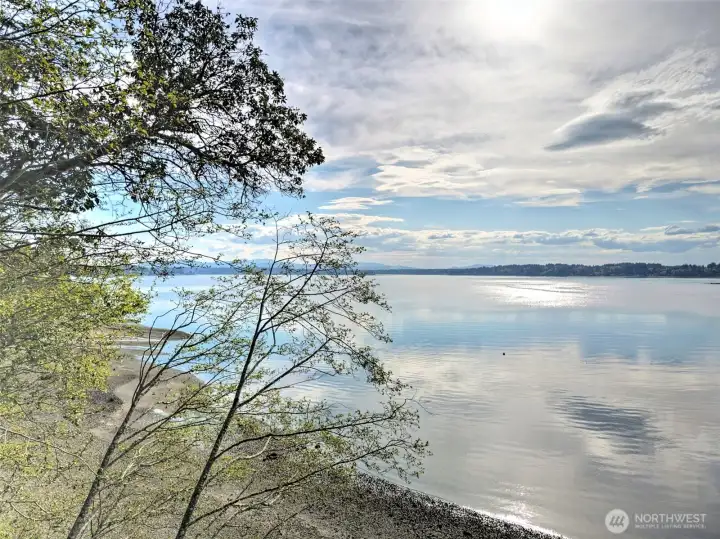 View to the South towards Olympia and Boston Harbor - Great sunsets!