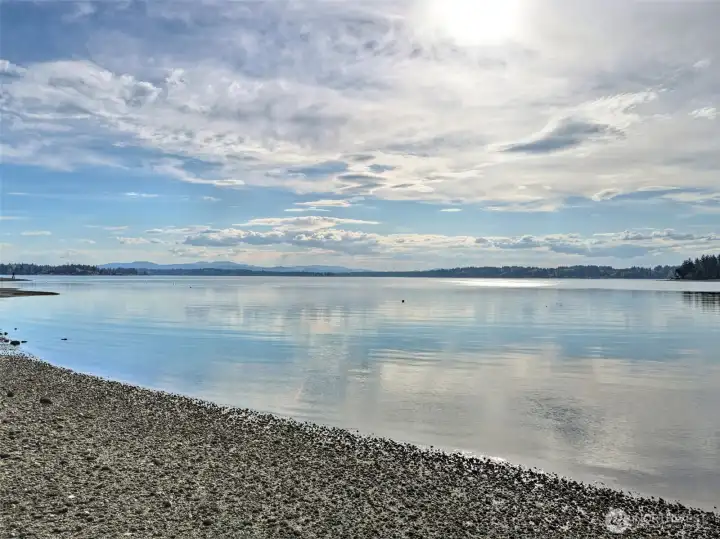 The Black Hills and Budd Inlet