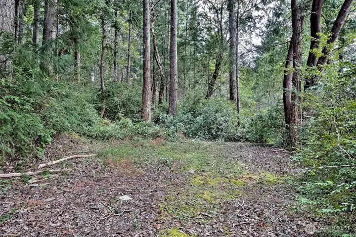 Parking area behind the "A-frame"