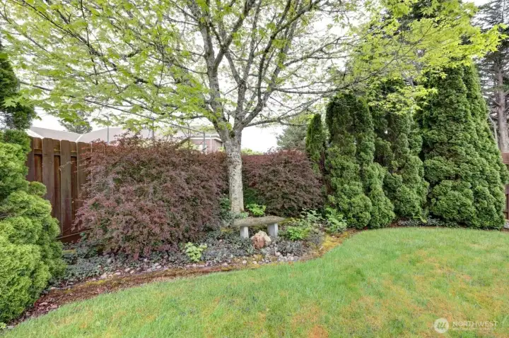 Mature landscaping and fence for privacy