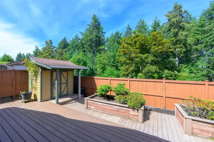 Garden storage shed. Notice the towering firs.