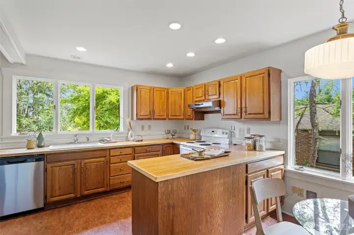 Oak cabinets, marmoleum floors, oak countertops just refinished. New stainless steel dishwasher.