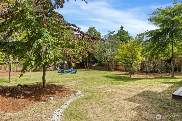 Oversized yard in the back.