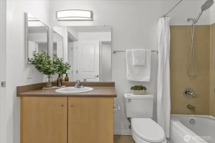Great light and lots of storage in the hall bath. Great light and lots of storage in the hall bath.