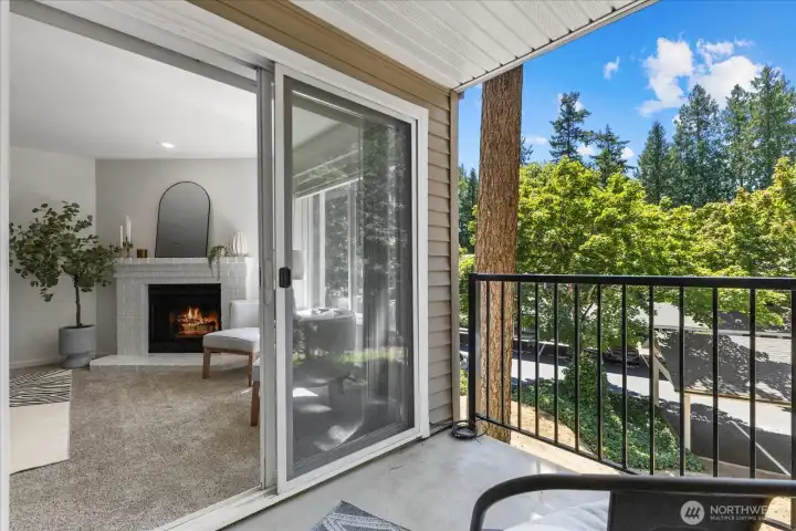Sunny and bright balcony is the perfect spot to unwind and relax. Sunny and bright balcony is the perfect spot to unwind and relax.