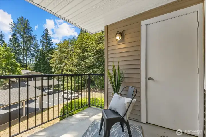 Ample sized private storage closet located on the balcony. Ample sized private storage closet located on the balcony.