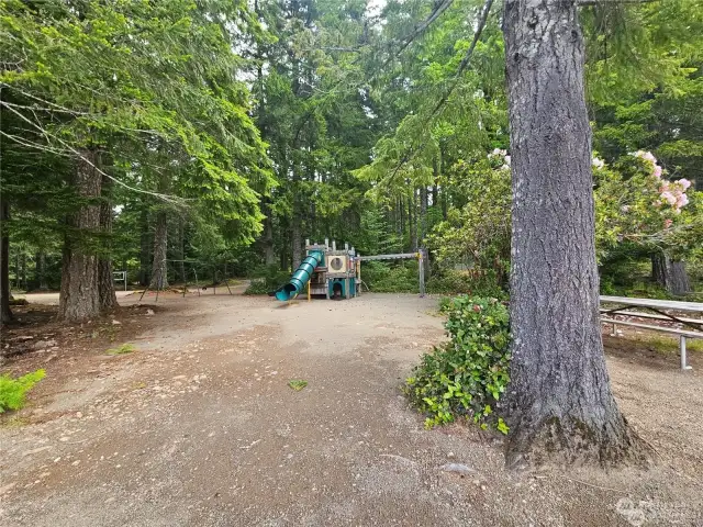 Park at Lake Cushman