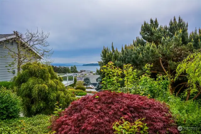 Some of the backyard landscaping between home and next door neighbor.