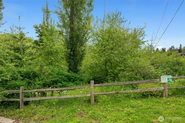 This is a GREAT street and location!  And this is your very quiet neighbor just across the street - a protected green space.  What a lovely spot!