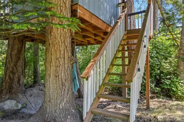 Tree house fit for sleepovers!
