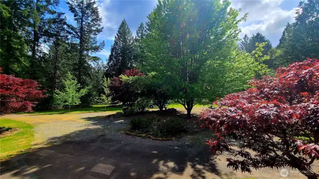 View of the driveway round about in the front yard