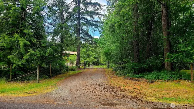 Driveway and front gate from the street