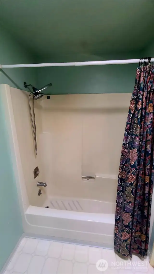 Main full bathroom