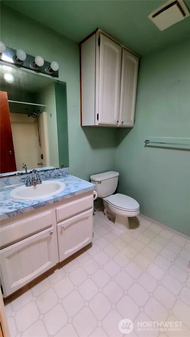 Main full bathroom