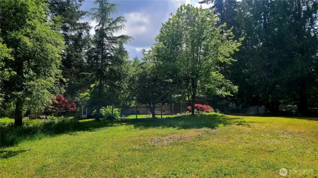 More of the rear yard.  Property is 2.63 acres and fenced.