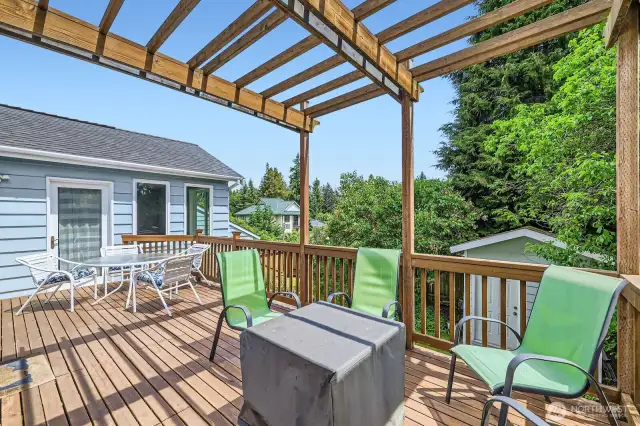 Extra large entertainment deck off of main floor. The door in the photo leads to the blue Flex Room. Think of the summer parties you could have here! Plenty of privacy and views of the lush greenery.