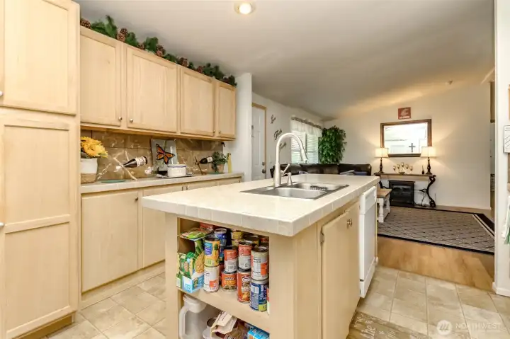 Chef's kitchen with additional storage