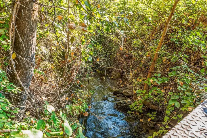Creek View