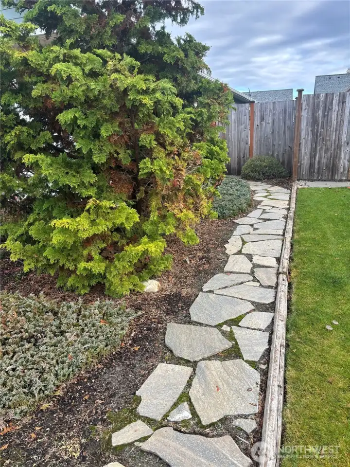 Walkway to back yard