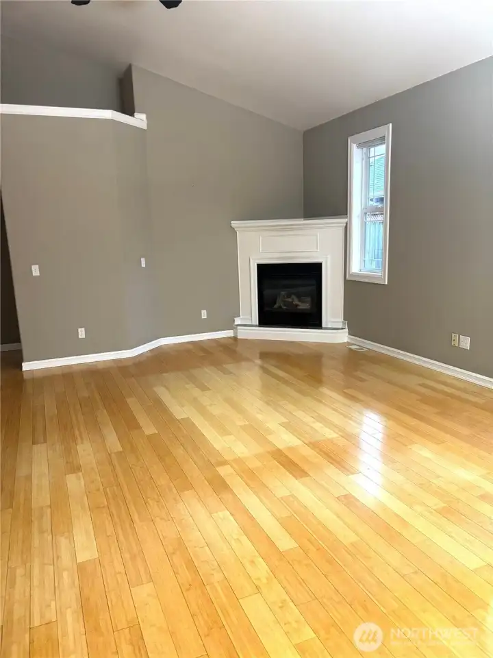 Fireplace in living room