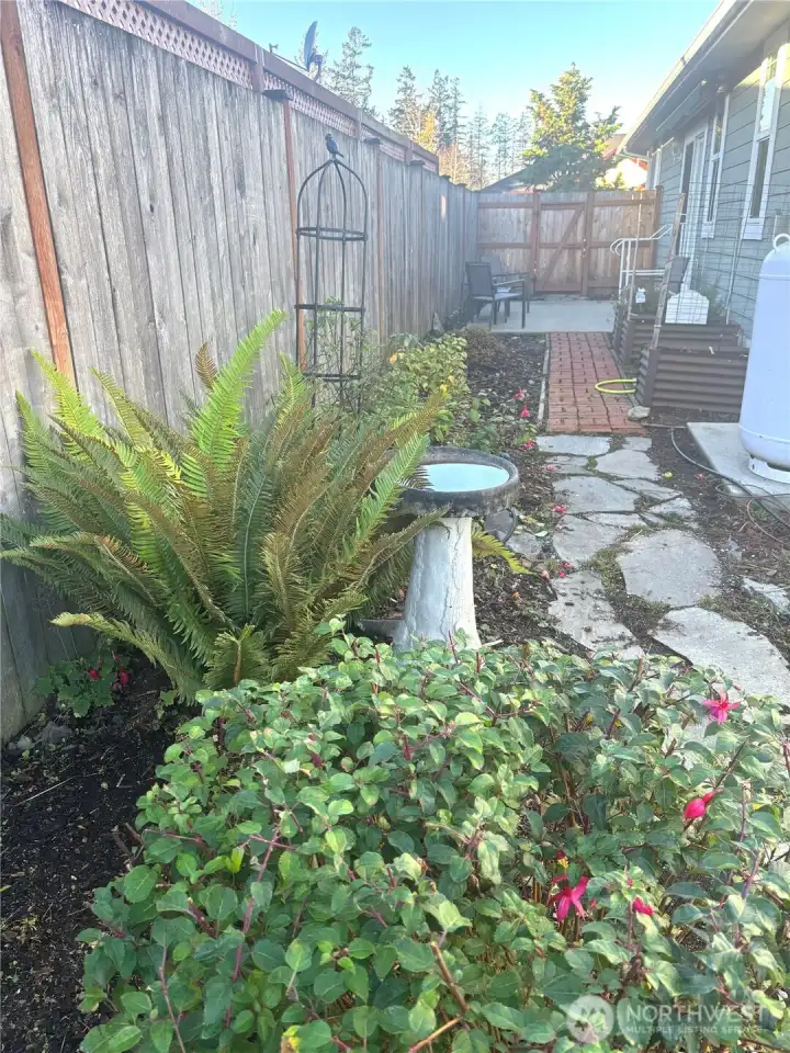 Walkway to patio area