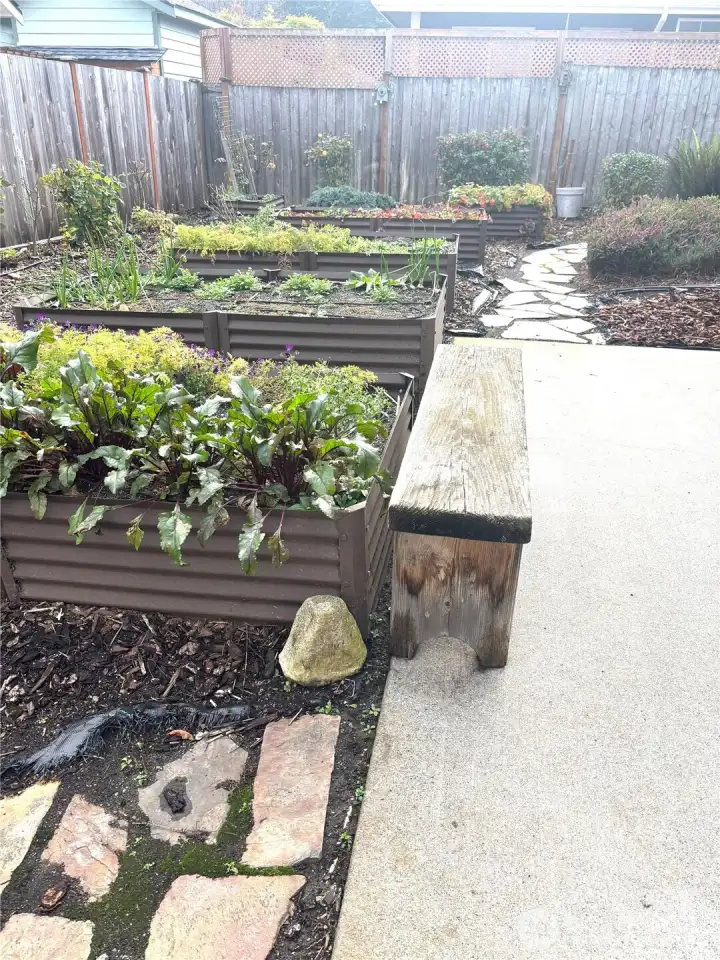 raised beds with lots of sunshine
