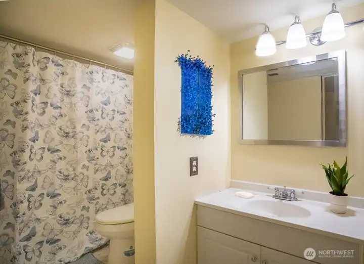 lower floor bathroom