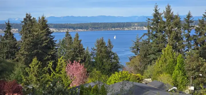 Magnificent View from your property!