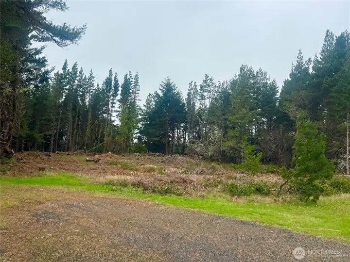 I love how property is surrounded by tall trees ensuring privacy