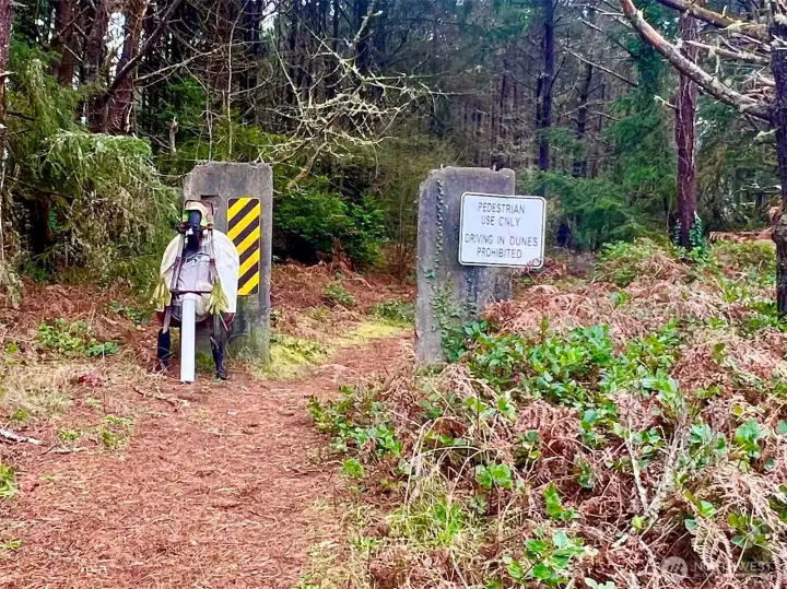 Entrance to path, on south west edge of propety.