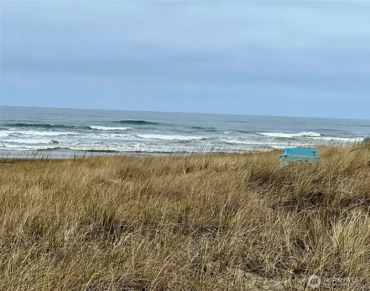 A lovely bench to view the ocean awaits!