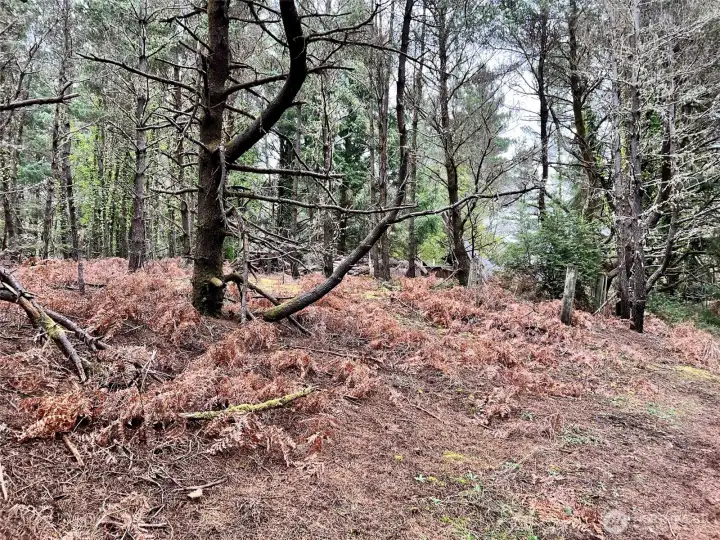 western edge of property