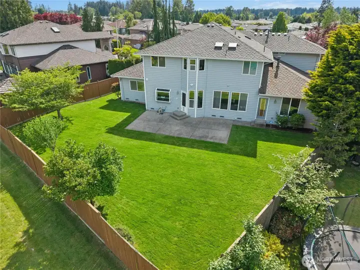 Spacious backyard with room to live & entertain generously