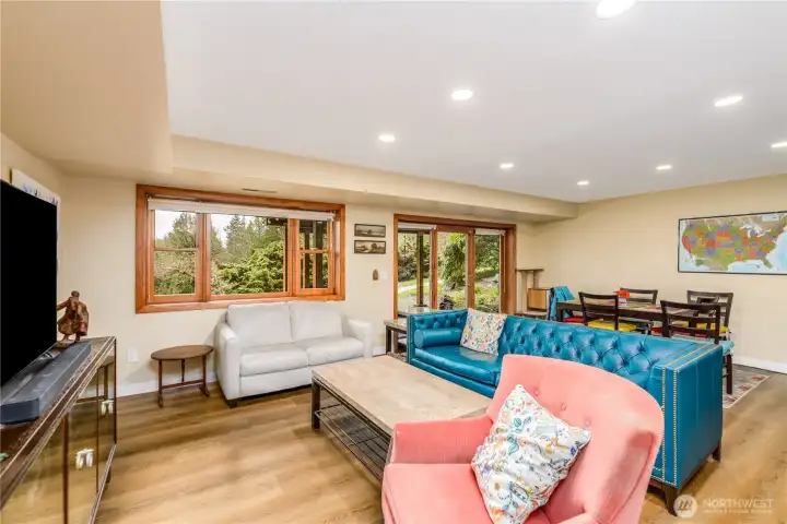 Lower Level Living Room