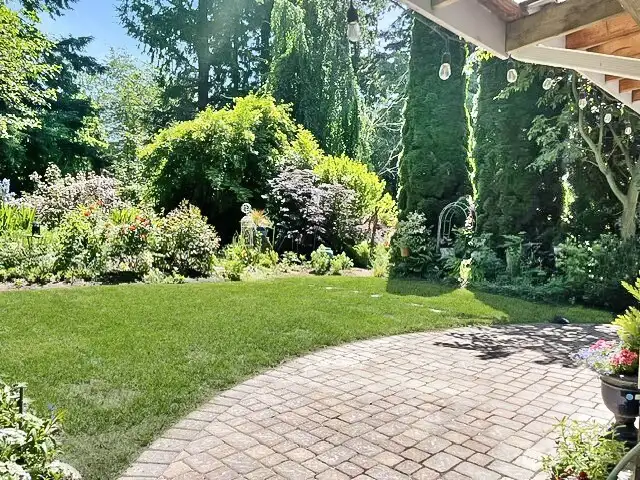 View of the other side yard from the greenhouse.