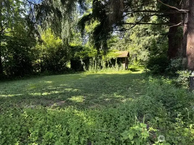 Yard separate from the manicured yard to the west, which borders the corner of the street- older building is overgrown.
