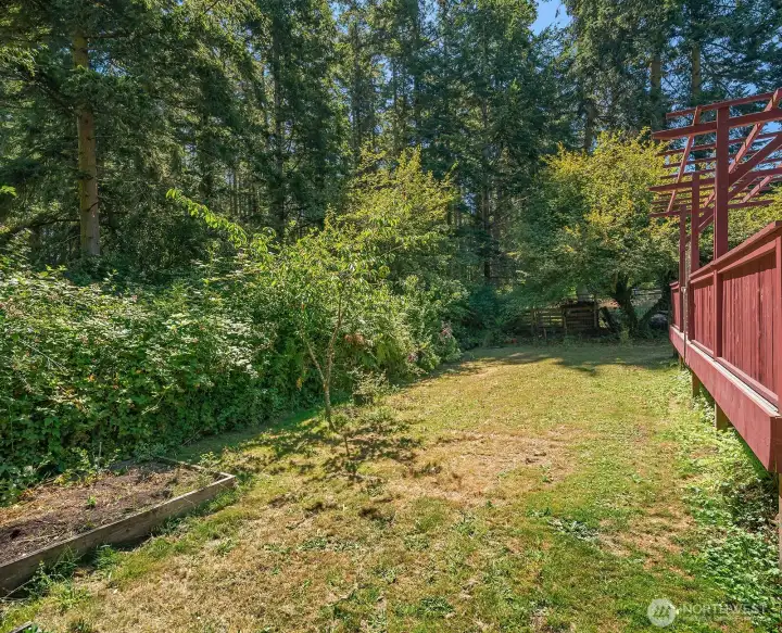 Back yard space. Back yard space.