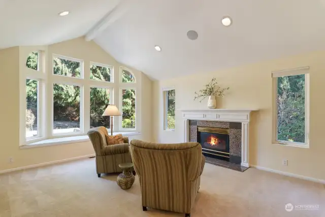 Living/sitting room w/gas fireplace, vaulted ceilings, lots of light!